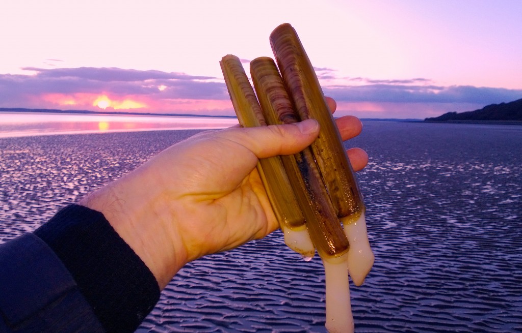 spoot sunset