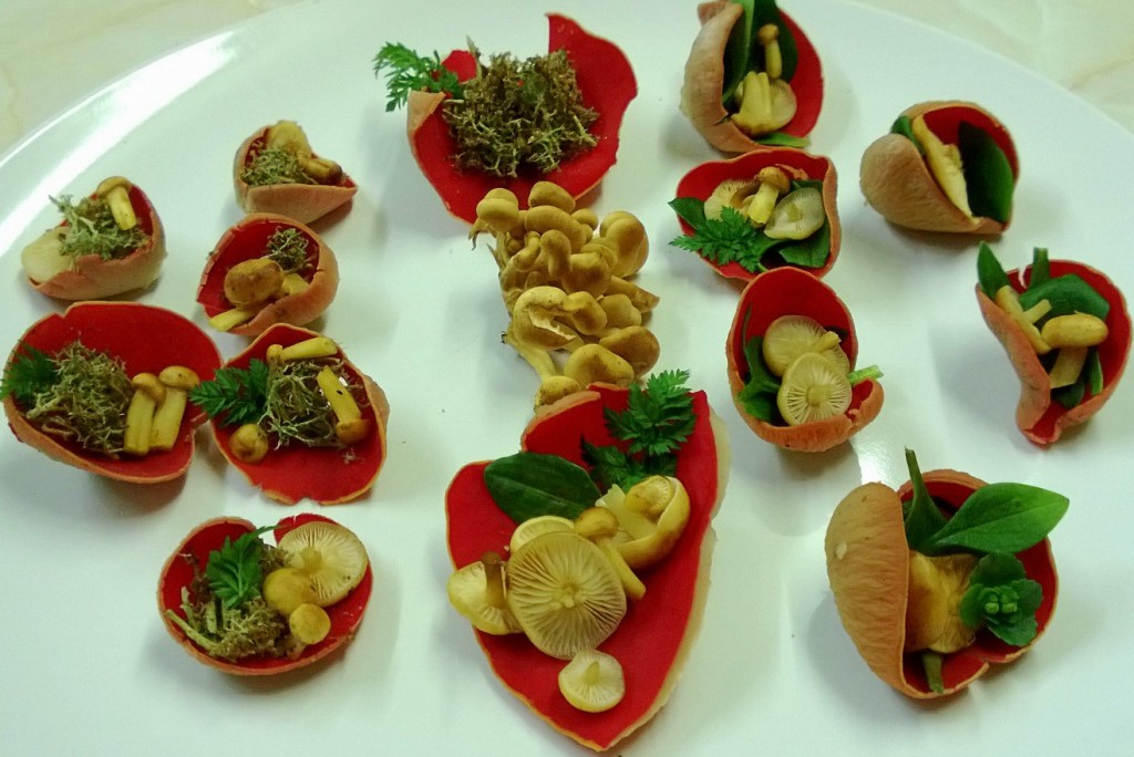 Elf cup sushi, with velvet shank and wild herbs