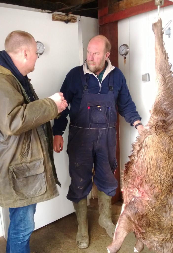 selecting deer