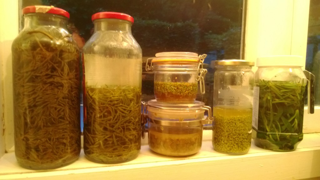 WP_20130620_010