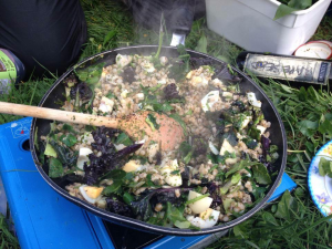 Barley kedgeree with wild spices and coastal plants