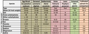 seaweed nutrition values photo
