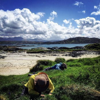 Explore coastal ecologies and foodscapes. 
Image ©GallowayWildFoods